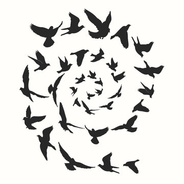 Birds silhouette vector illustration. Abstract background.