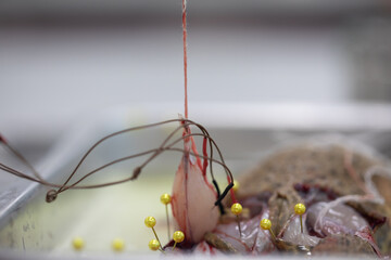 Study Nervous system test in Laboratory.