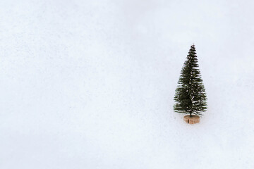 little green christmas tree on white snow, banner, place for text 