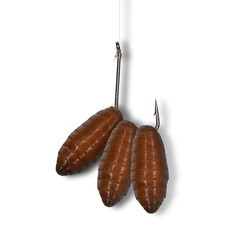 Bait for fishing. How to hook maggots