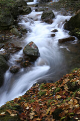 秋の渓流