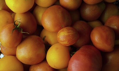 Close up ripe red and yellow tomatoes - vegetable background. Top view