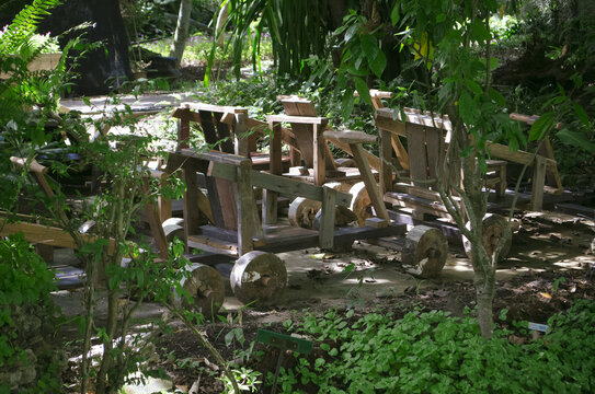 Hand Made Cart Set in a Botanical Garden