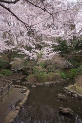 御幣公園（神奈川県藤沢市藤が岡）