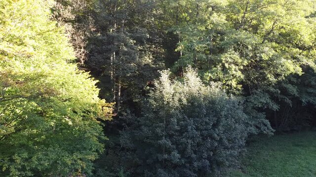 Luftaufnahme Ha&szlig;berge und Steigerwald in Unterfranken