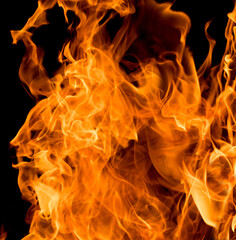 Flames of fire on black background