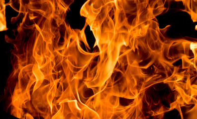 Flames of fire on black background
