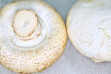 a couple of fresh raw champignons on the table close-up