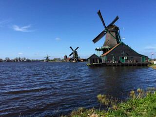 Naklejka premium dutch historic windmills near sea coast at blue sky, in Zaanse Schans, North Holland, Netherlands