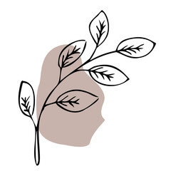 Ornamental leaves with color shape. Hand drawn vector illustrations on white background.