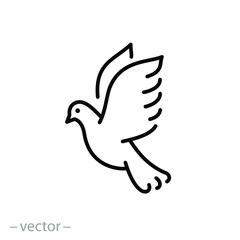 dove icon, freedom and peace concept, flying pigeon, christmas bird, thin line web symbol on white background - editable stroke vector illustration eps10