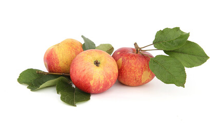 Apple fruits with leaves isolated on white background. Pile of red organic rustic ripe apples.