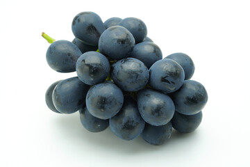 ナガノパープル