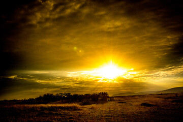 Obraz premium sunset over the field