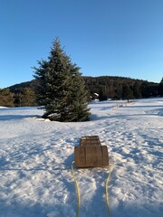 Typical wooden luge sledge in a snowy lake forest in Laurentides, Quebec, Canada.