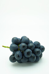 ナガノパープル