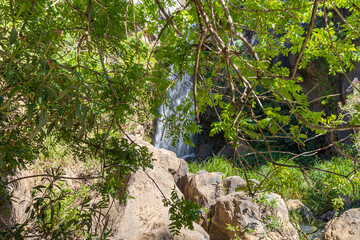 Mountain  Saar Falls with cold and crystal clear water descends from a crevice in the mountains of the Golan Heights in Israel.