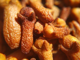 close up of a clove