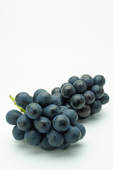 ナガノパープル