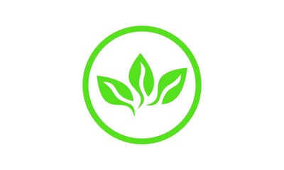 leaf logo brand vector