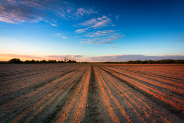 Fototapeta na wymiar Beautiful landscape of a plowed field at sunset. Poland