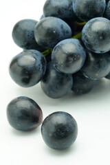 ナガノパープル