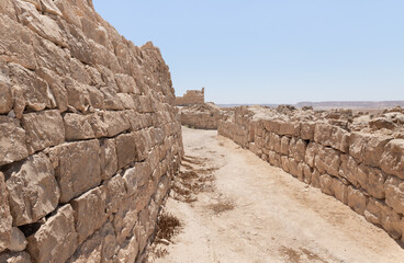 Obraz premium Shivta - a national park in southern Israel, includes the ruins of an ancient Nabatean city in the northern Negev.