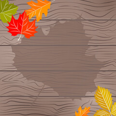 Template background with autumn leaf 