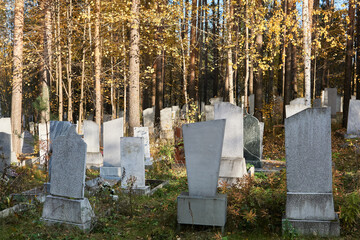 old cemetery overgrown with trees, autumn view