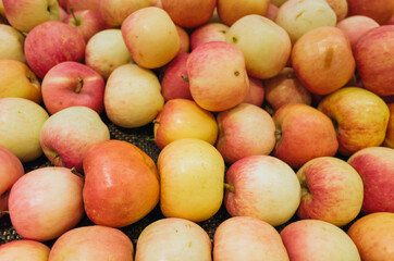 Closeup of many pink raw vibrant colorful red green color apples in market
