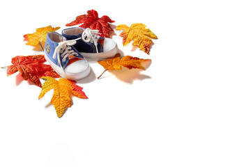 Autumn composition. Frame made of autumn maple leaves on a white background. Children's sneakers. Space for text.