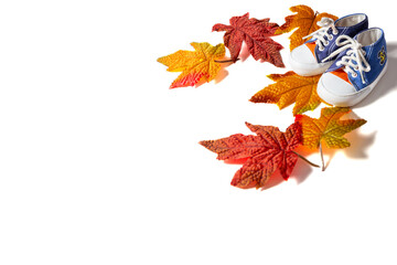 Autumn composition. Frame made of autumn maple leaves on a white background. Children's sneakers. Space for text.
