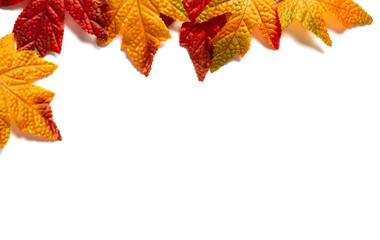 Autumn composition. Frame made of autumn maple leaves on a white background. Flat sunbed, top view, space for text.