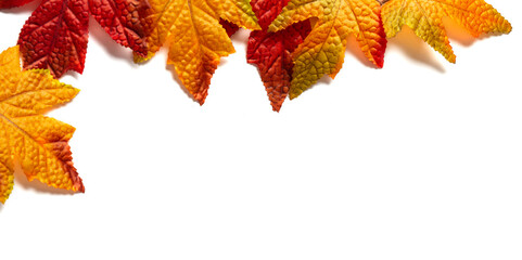Autumn composition. Frame made of autumn maple leaves on a white background. Flat sunbed, top view, space for text.