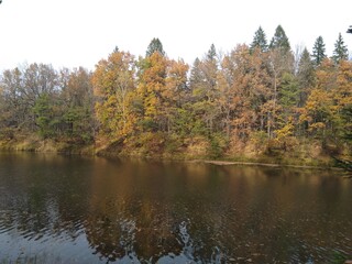 Fototapeta na wymiar river near the autumn forest
