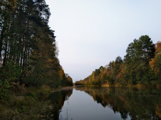 reflection of trees in the water