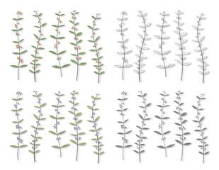 A set of branches with leaves and berries in different colors isolated on a white background