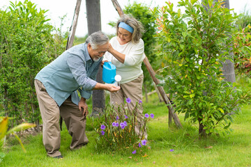 Asian elderly couple Water the plants in garden at home. Happy senior people at home. Happy family concept.