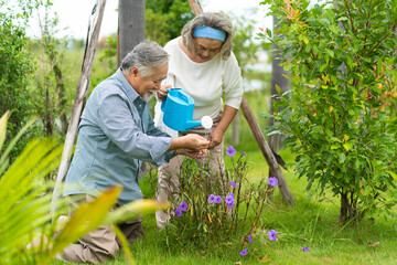 Asian elderly couple Water the plants in garden at home. Happy senior people at home. Happy family concept.