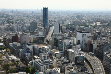 Fototapeta premium 東京パノラマ