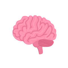 Vector isolated brain. Illustration for label of medicine, advertisement poster or banner for psychologist or department of neurology, design for website or article about mental health or neuroscience