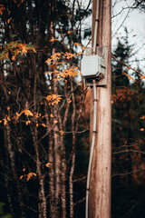 Autumn electrical pole