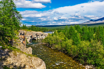 mountain river flowing among the rocks in a forest area