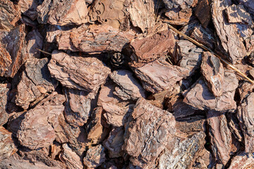 Pieces of wood bark texture and background.