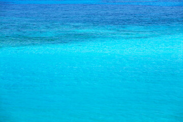 Obraz premium コーラルビーチ