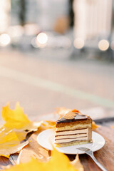 Chocolate cake slice on wood table with autumn maple leaves on the background