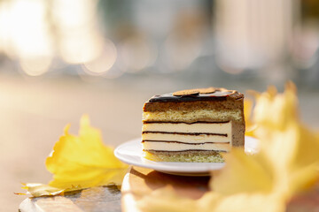 Chocolate cake slice on wood table with autumn maple leaves on the background