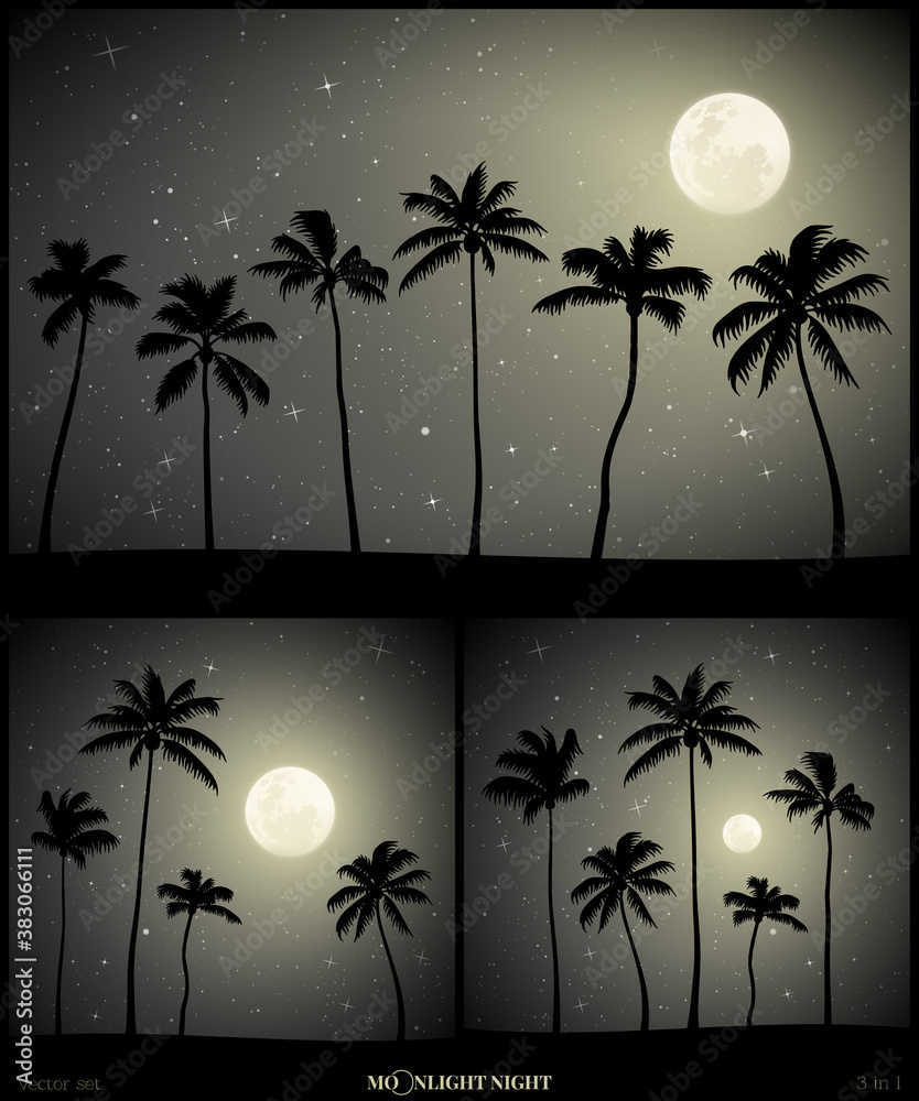 Canvas Prints landscape with palm trees on beach on moonlight night. dark mysterious background with full moon in 