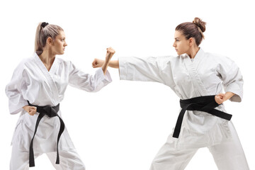 Young females in kimono practicing karate © Ljupco Smokovski
