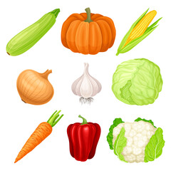Ripe Vegetables as Healthy Raw Food Vector Set